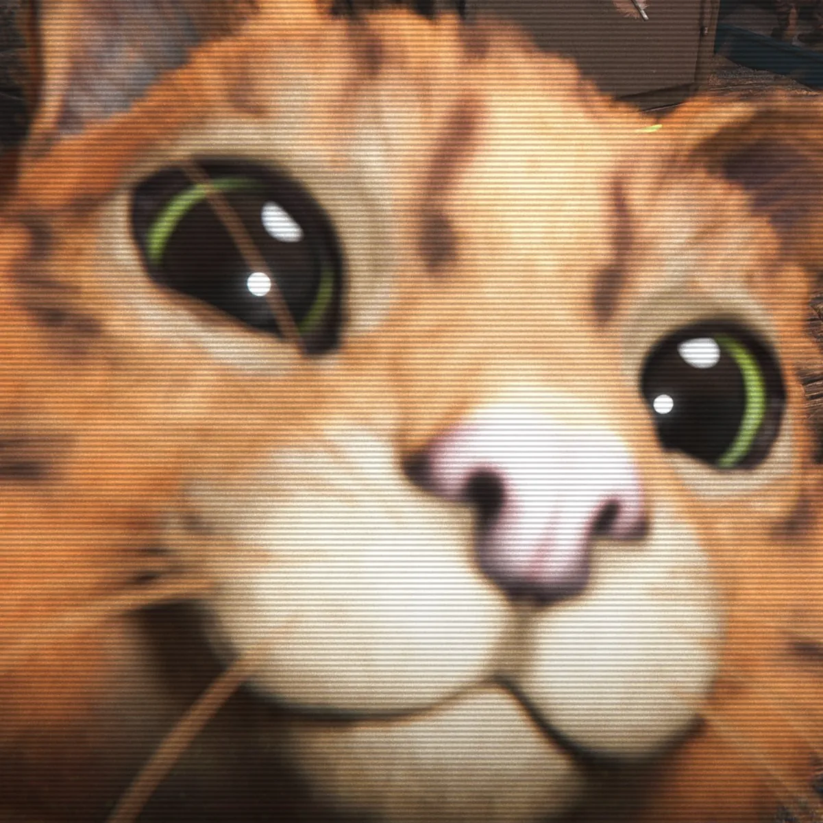 ネコ